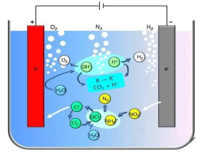Fjernelse af ammoniak nitrogen Anode.webp