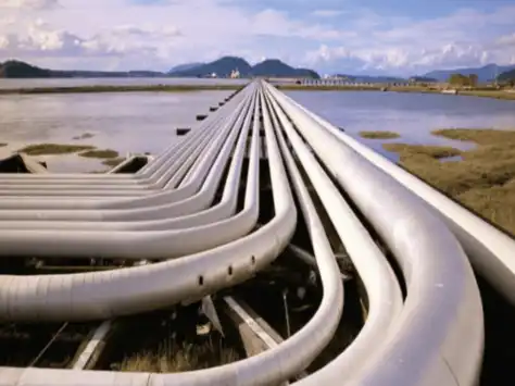 product-496-372 product-496-372