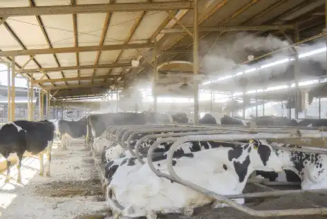 productcate-1-1 productcate-1-1