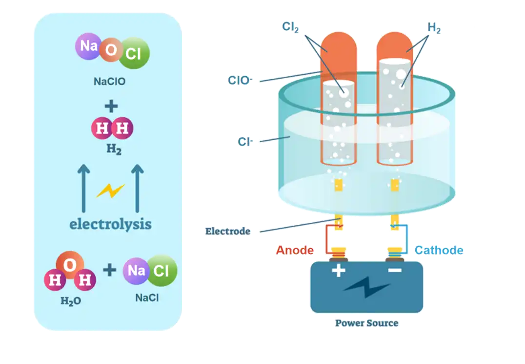 product-800-450 product-800-450