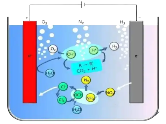 blog-1-1 blog-1-1
